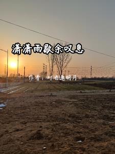 ������Ъ��̾Ϣȫ������Ķ�