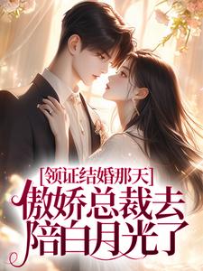 领证结婚那天,傲娇总裁去陪白月光了全文免费阅读